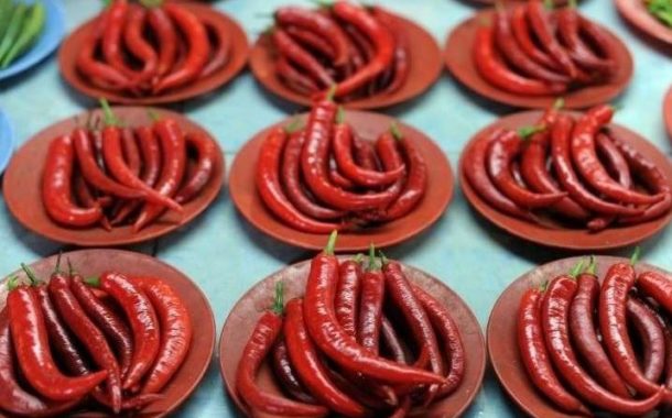 'Carolina Reaper', piment le plus puissant du monde