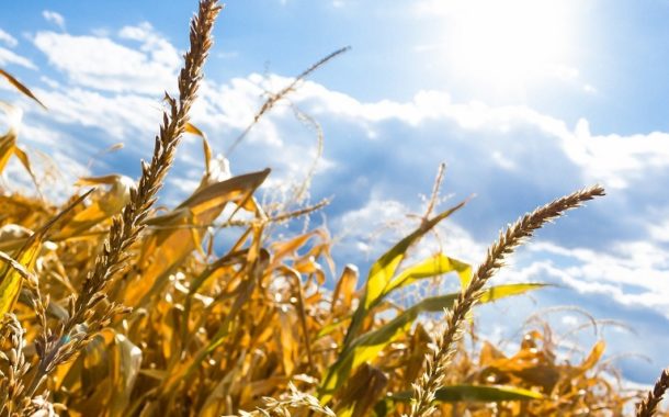 Vers une sécheresse en France ?